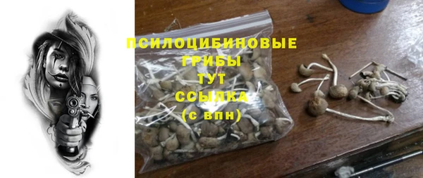эйфоретик Коряжма